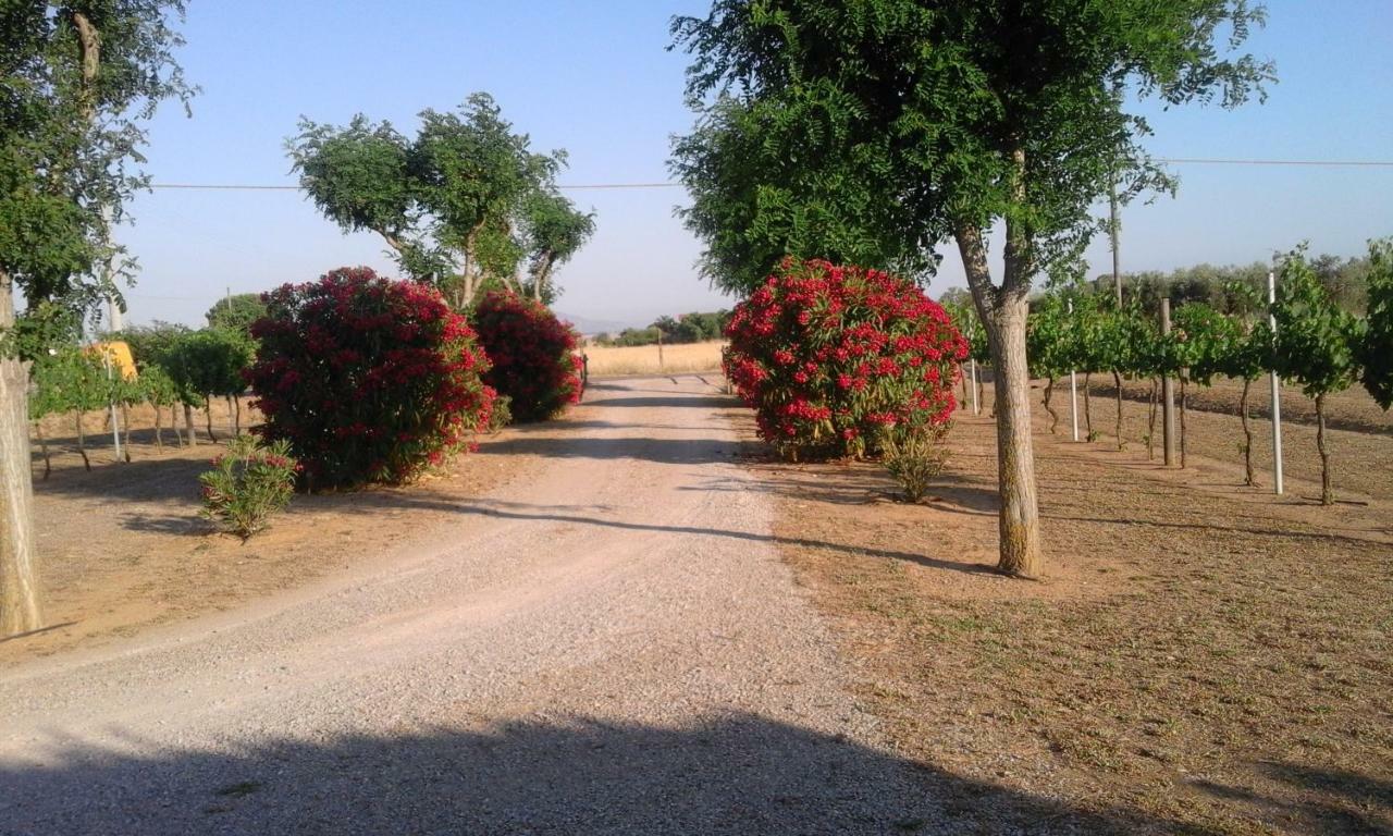Monolocale Con Giardino Βίλα Castiglione della Pescaia Εξωτερικό φωτογραφία
