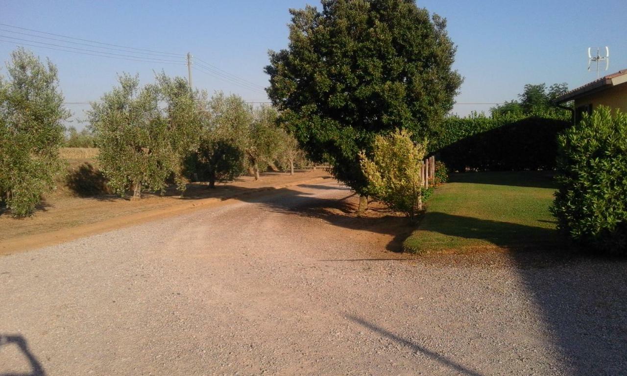 Monolocale Con Giardino Βίλα Castiglione della Pescaia Εξωτερικό φωτογραφία